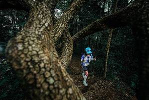 BIB: 
                            <button type="button" onclick="openModal(25700193)" class="btn btn-primary btn-sm float-right btn-popup" data-toggle="modal" data-target=".modal-high-quality">
                        <i class="fas fa-shopping-cart"></i> Add to Cart
                    </button>
                                            <button type="button" onclick="isThisMe(25700193, true)" class="btn btn-success btn-sm float-right btn-popup btn-isme hidden" data-toggle="tooltip" data-placement="bottom" title="นี่คือรูปของคุณใช่ไหม คลิกที่นี่เพื่อเอาเข้าอัลบั้ม">
                        <i class="fas fa-plus"></i> Add to album
                    </button>
                    <button type="button" onclick="isThisMe(25700193, false)" class="btn btn-warning btn-sm float-right btn-popup btn-isnotme hidden">
                        <i class="fas fa-ban"></i> Remove from album
                    </button>